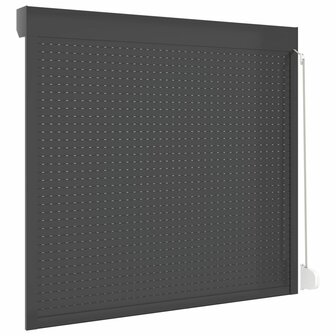 Rolluik 160x150 cm aluminium antracietkleurig 5