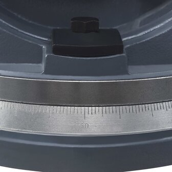 Bankschroef met 2 assen kantelbaar 160 mm 9