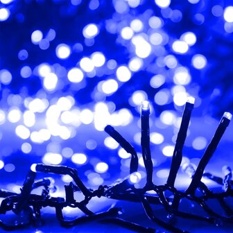 Lichtslinger cluster met 2000 LED&amp;apos;s blauw 17 m PVC 4