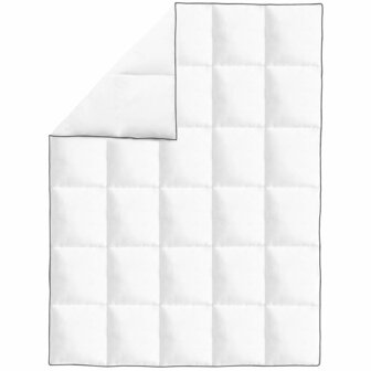 Winterdekbedden 2 st 140x200 cm dons 2