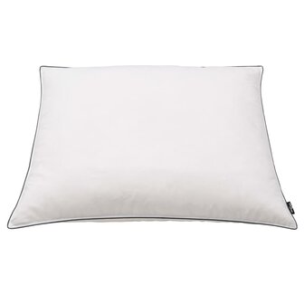 Kussens 2 st zwaar 70x60 cm dons-/verenvulling wit 3