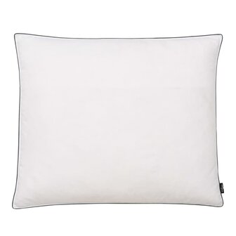 Kussens 2 st licht 70x60 cm dons-/verenvulling wit 2