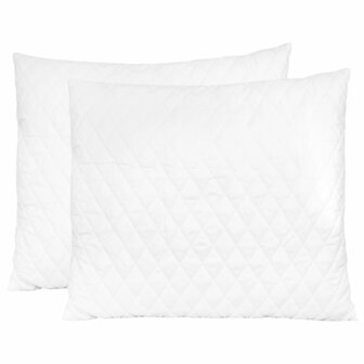 Kussens 2 st 70x60x14 cm traagschuim 2