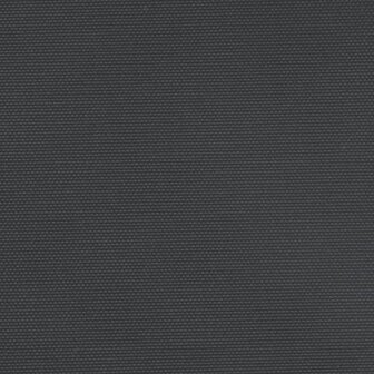 Windscherm uittrekbaar 100x300 cm zwart 9