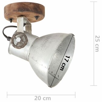 Wand-/plafondlampen industrieel 2 st E27 20x25 cm zilverkleurig 9