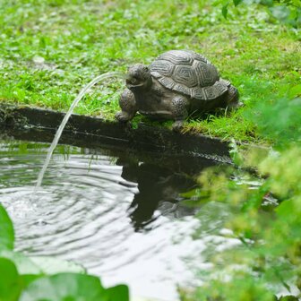 Ubbink Tuinfontein schildpad 1