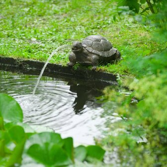 Ubbink Tuinfontein schildpad 3