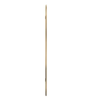 Wandspiegel 60x25 cm goudkleurig 4
