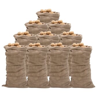 Jutezakken 10 stuks 220 g/m&sup2; 65x135 cm 100% jute 1