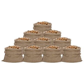 Jutezakken 10 stuks 340 g/m&sup2; 100x110 cm 100% jute 1
