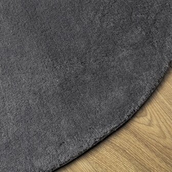 Vloerkleed HUARTE laagpolig zacht wasbaar &Oslash; 80 cm antraciet 4