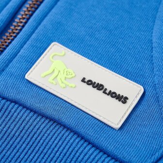 Kindervest met capuchon en rits 140 blauw 6
