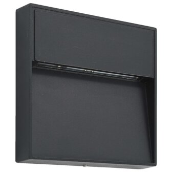 LED-buitenwandlampen 2 st 3 W vierkant zwart 3