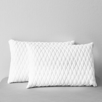 Kussens 2 st 60x40x14 cm traagschuim 1