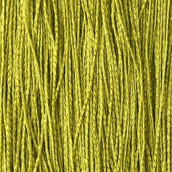 Draadgordijnen 140x250 cm groen 2 st 9