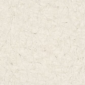 Noordwand Behang Vintage Deluxe Stucco Crackle grijs en wit 2