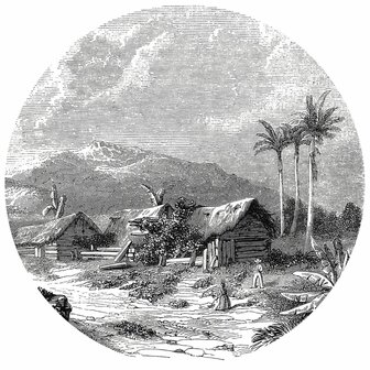 WallArt Behangcirkel Landscape of Guadeloupe 190 cm 2