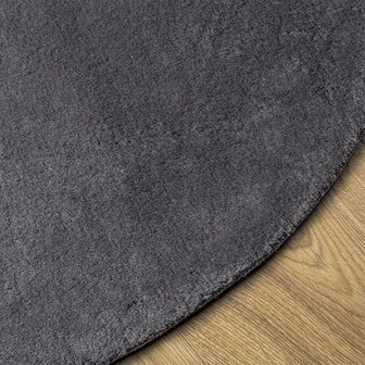 Vloerkleed HUARTE laagpolig zacht wasbaar &Oslash; 120 cm antraciet 4