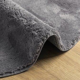 Vloerkleed HUARTE laagpolig zacht wasbaar &Oslash; 120 cm antraciet 6