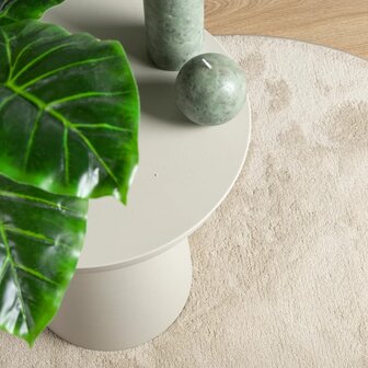 Vloerkleed OVIEDO laagpolig &Oslash; 120 cm beige 7
