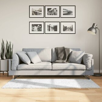 Vloerkleed OVIEDO laagpolig 80x150 cm grijs 1