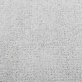 Vloerkleed OVIEDO laagpolig 80x150 cm grijs 9