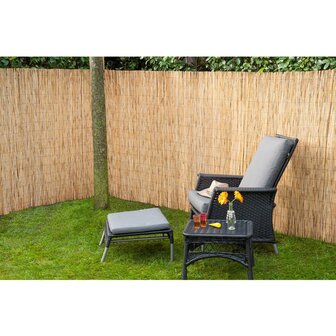 Nature Tuinschermen 2 st 500x100 bamboo riet 2