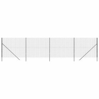 Draadgaashek 1,6x10 m gegalvaniseerd staal antracietkleurig 2