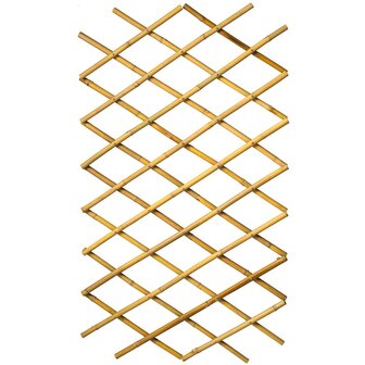 Nature Latwerk voor tuin 70x180 cm bamboe 6040721 1
