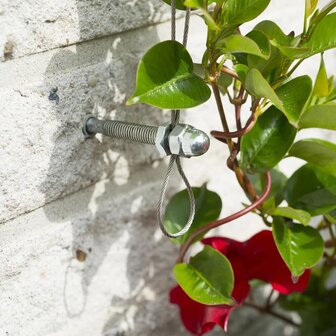 Nature Spandraadsysteem voor klimplanten 6040760 3