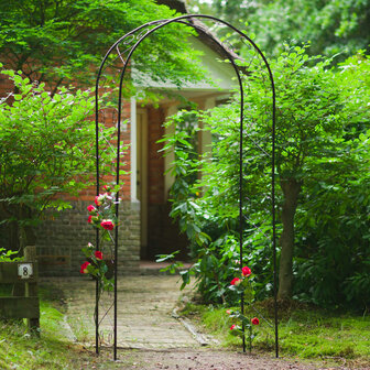 Nature Tuinboog 100x37x230 cm metaal zwart 1