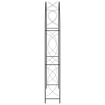 Tuinboog 150x34x240 cm ijzer zwart  3