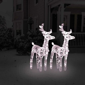 Kerstrendieren 2 st 80 LED&amp;apos;s acryl warmwit 1