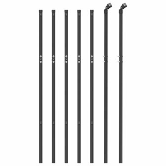 Draadgaashek 1x10 m gegalvaniseerd staal antracietkleurig 3