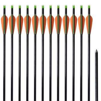 Pijlen compoundboog standaard 30&quot; 0,8 cm glasvezel 12 stuks 1