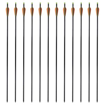 Pijlen compoundboog standaard 30&quot; 0,8 cm glasvezel 12 stuks 2