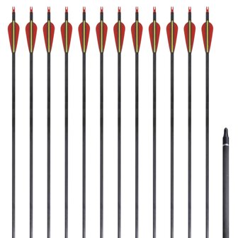 Pijlen voor recurveboog standaard 30&quot; 0,76 cm koolstof 12 stuks 1