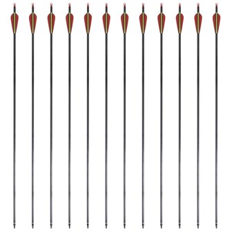 Pijlen voor recurveboog standaard 30&quot; 0,76 cm koolstof 12 stuks 4