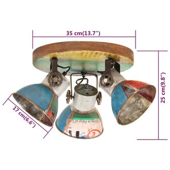 Plafondlamp industrieel 25 W E27 42x25 cm meerkleurig 8