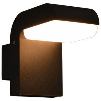 LED-buitenwandlamp 9 W ovaal zwart  1