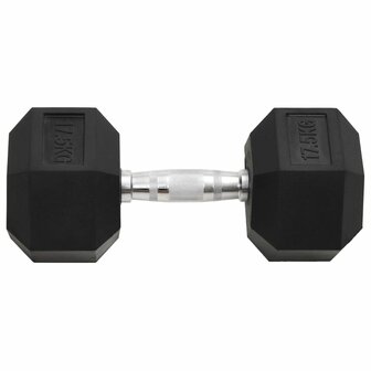 Halters 17,5 kg gietijzer 3