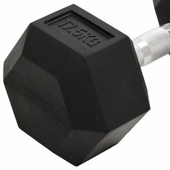 Halters 17,5 kg gietijzer 5