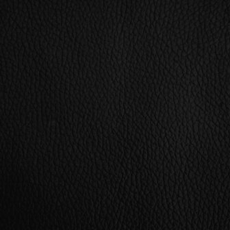 Hondenmand 60x40x30 cm kunstleer zwart 6