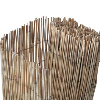 Tuinscherm 300x80 cm riet 3