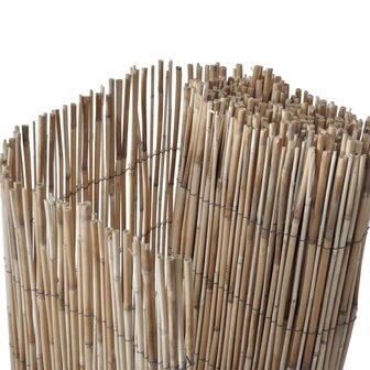 Tuinscherm 500x80 cm riet 3