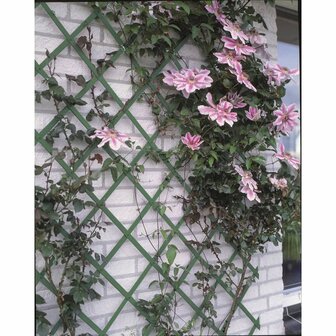 Nature Tuinlatwerk 50x150 cm PVC groen 6040702 2