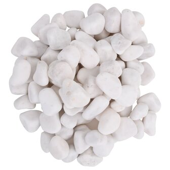 Kiezelstenen gepolijst 2-5 cm 10 kg wit 4