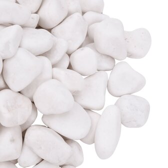 Kiezelstenen gepolijst 2-5 cm 10 kg wit 5