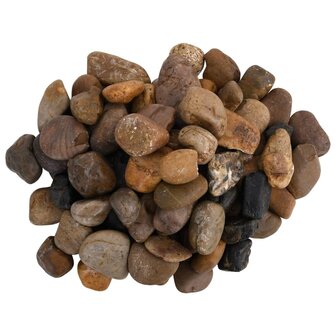Kiezelstenen gepolijst 2-5 cm 10 kg meerkleurig 4