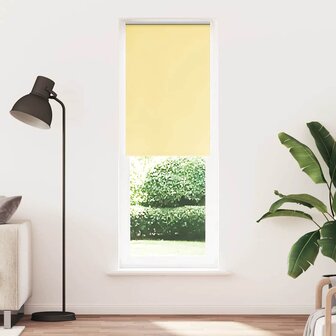 Rolgordijn 70x210 cm verduisterend stofbreedte 65,7cm polyester 2